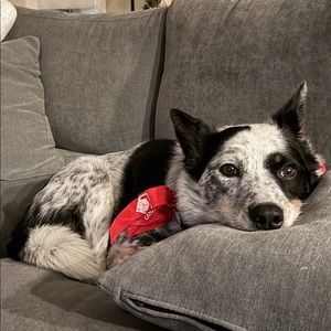 Meet your Posher, Ewelina